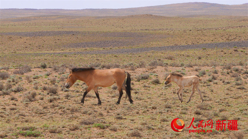 ????? ??? ?????? ?????? ?? ????? ????????? ?????????