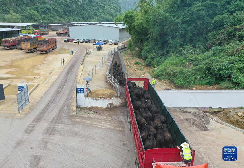 ???????? ???????: ????? ???? ?? 10 ???? ??? ?? ????? ??????????