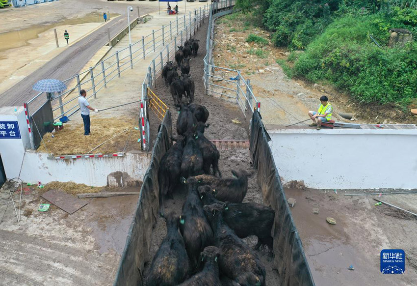 ???????? ???????: ????? ???? ?? 10 ???? ??? ?? ????? ??????????