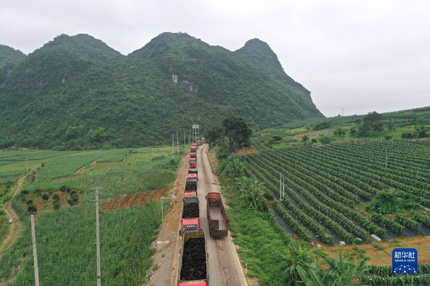 ???????? ???????: ????? ???? ?? 10 ???? ??? ?? ????? ??????????