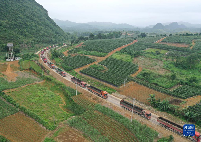 ???????? ???????: ????? ???? ?? 10 ???? ??? ?? ????? ??????????