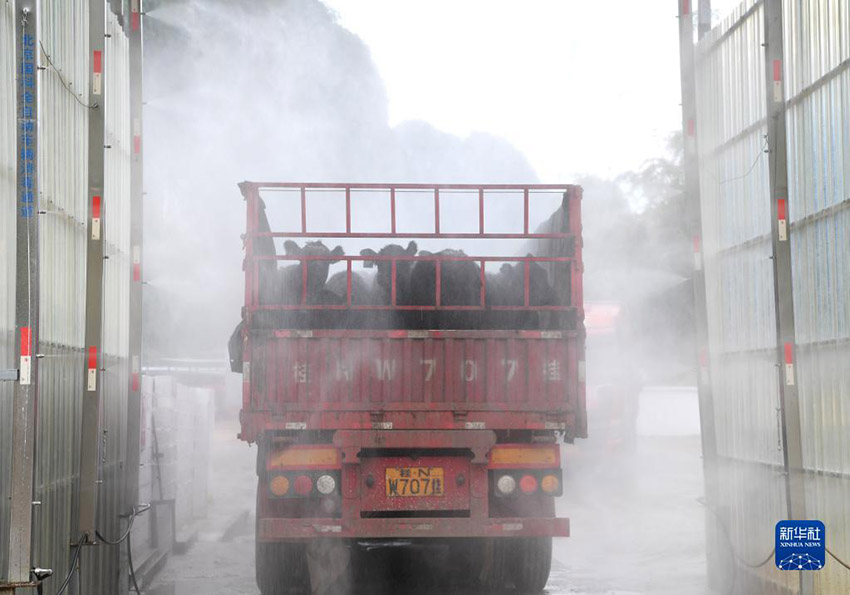 ???????? ???????: ????? ???? ?? 10 ???? ??? ?? ????? ??????????