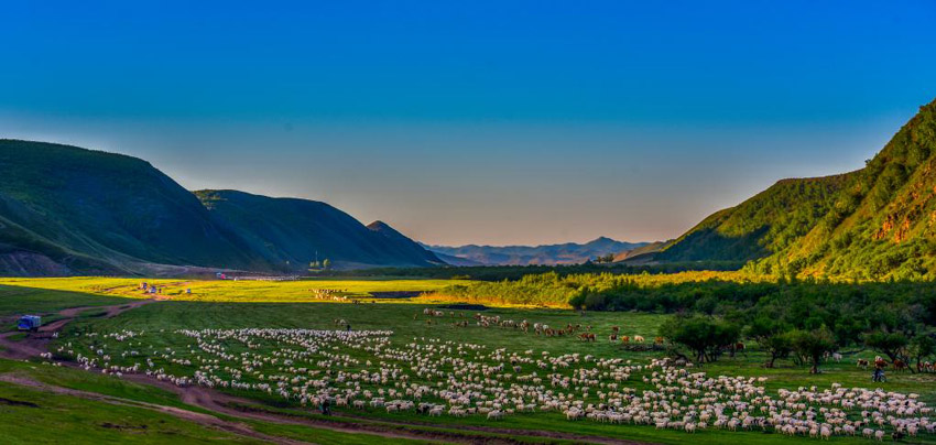 ????? ????? ?????? ?? ??? ??? ????? ?????? ??????? ??? ??????? ????????