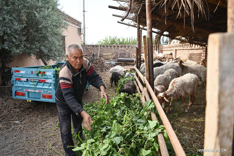 ????? ??????? ?????? ??? ????? ?? ??????? ?????? ????? ????? ?????