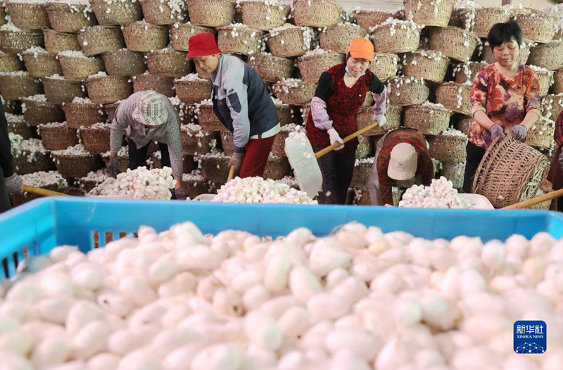 ?????? ???????: ????? ?????? ???? ????? ??????