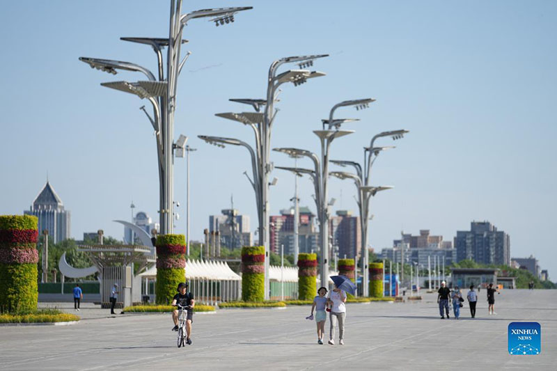 ???? ?? ???? ????? ???? ??????? ??????-19 ??? ??????