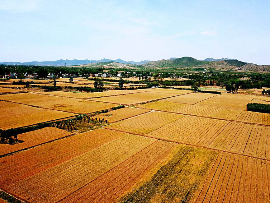 ?????? ???? ???? ???? ????? ?? ?????? ?????