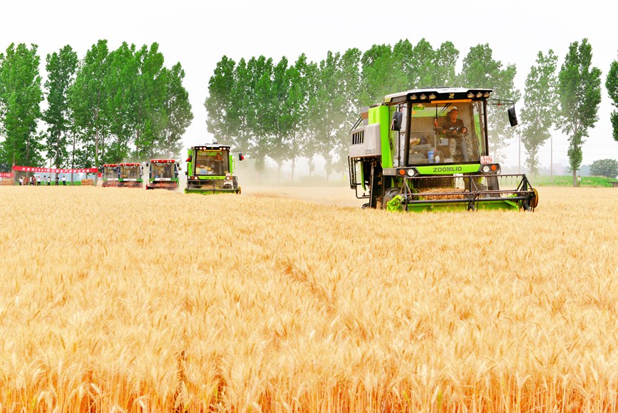 ?????? ???? ???? ???? ????? ?? ?????? ?????