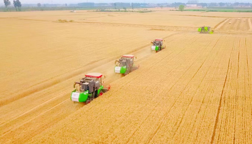 ?????? ???? ???? ???? ????? ?? ?????? ?????