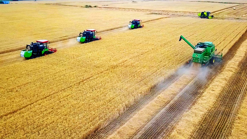 ?????? ???? ???? ???? ????? ?? ?????? ?????