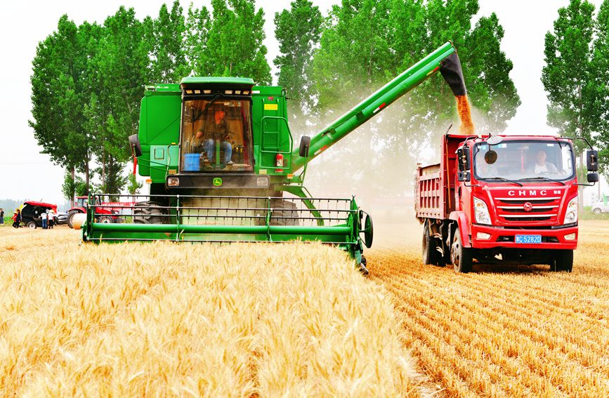 ?????? ???? ???? ???? ????? ?? ?????? ?????