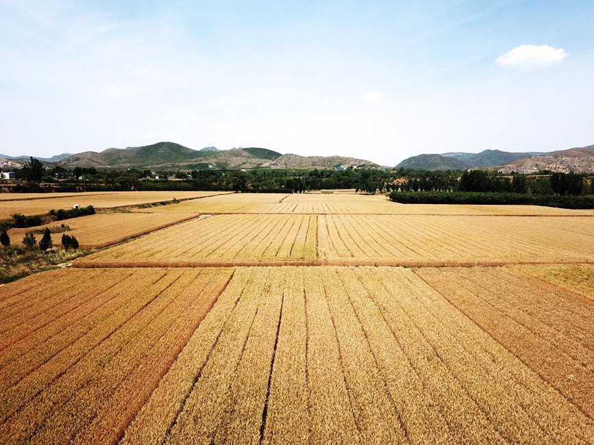 ?????? ???? ???? ???? ????? ?? ?????? ?????