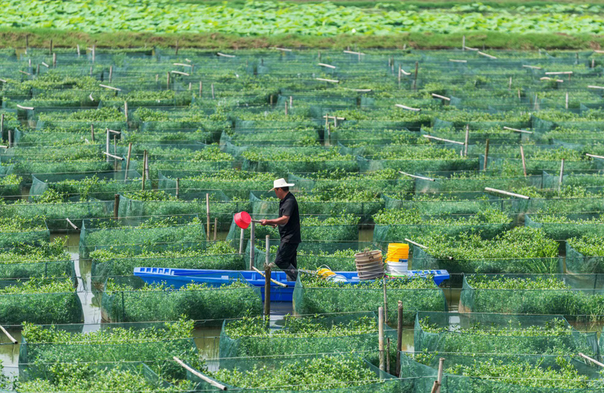 ???????? ???????:  ????? ????? ????? ????? ???? ???? ???????