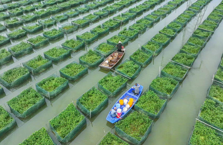 ???????? ???????:  ????? ????? ????? ????? ???? ???? ???????