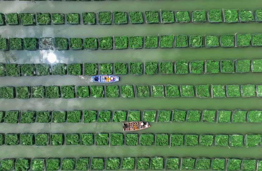 ???????? ???????:  ????? ????? ????? ????? ???? ???? ???????