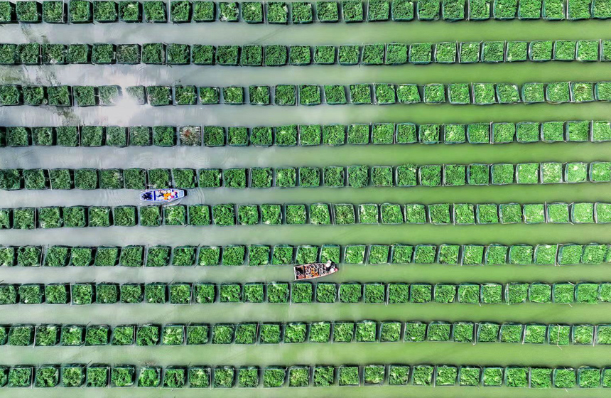 ???????? ???????:  ????? ????? ????? ????? ???? ???? ???????