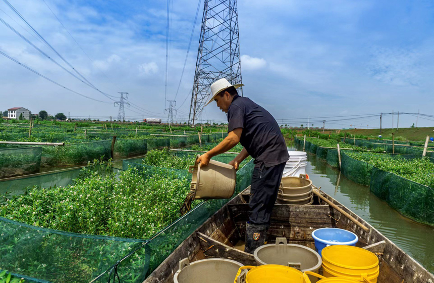 ???????? ???????:  ????? ????? ????? ????? ???? ???? ???????