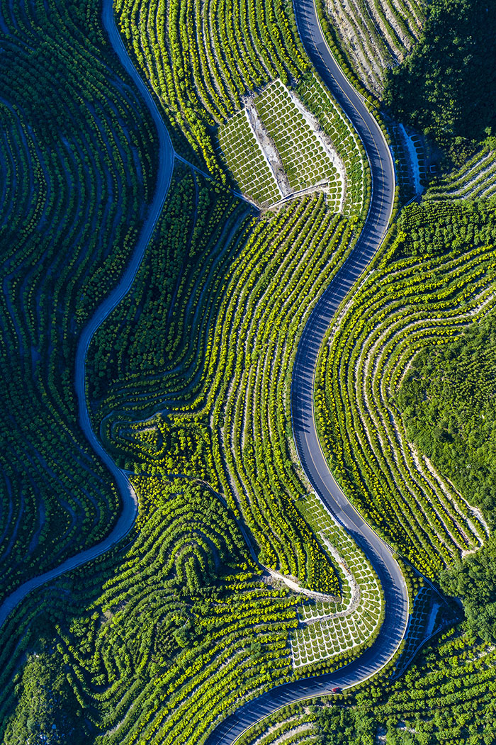 ???? ??? ???????? .. ???? ???? ??????? ??????? ?? ???????? ?????