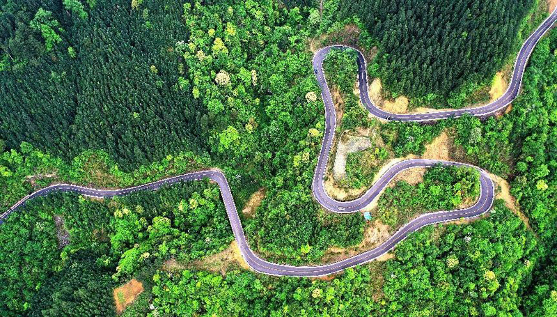 ?????: ???? ??? ?????? ??????? ???????? ????????