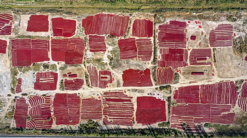 ?????? ?????? ???? ????? ?? ?????? ???????? ???? ?????