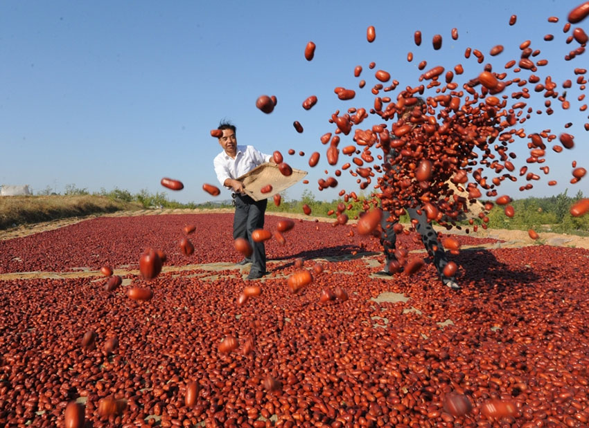 ?????? ?????? ???? ????? ?? ?????? ???????? ???? ?????