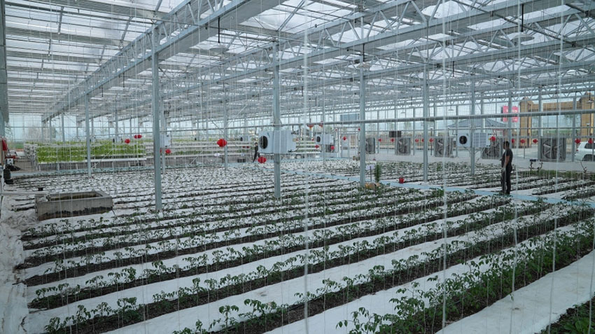 ?????? ?????? ???? ????? ?? ?????? ???????? ???? ?????