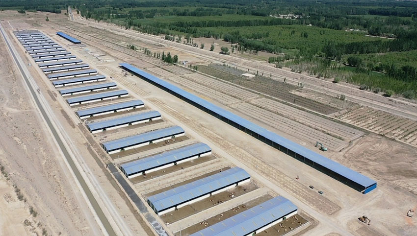 ?????? ?????? ???? ????? ?? ?????? ???????? ???? ?????