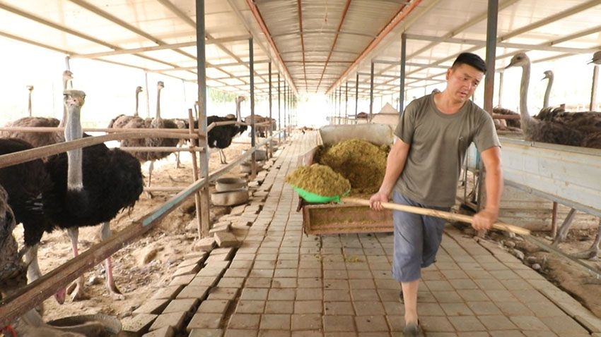 ?????? ?????? ???? ????? ?? ?????? ???????? ???? ?????