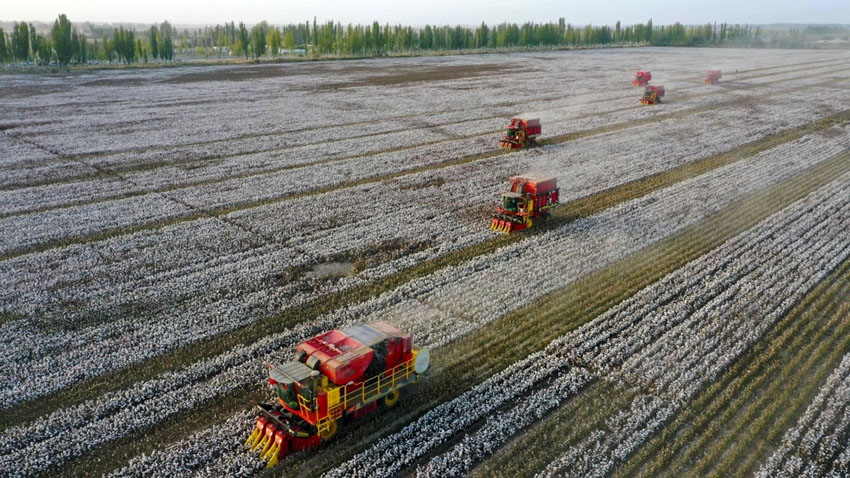 ?????? ?????? ???? ????? ?? ?????? ???????? ???? ?????