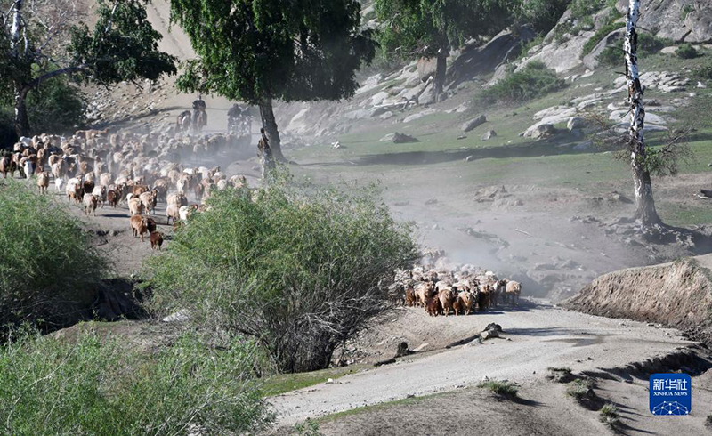 ???? ???????? ??????? ??? ??????? ???????