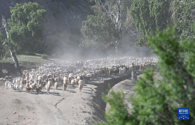 ???? ???????? ??????? ??? ??????? ???????