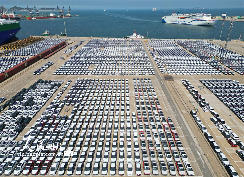 ???? ???????? ?????? ?????? .. ????? ?????? ???????? ???? ?????? ?????? ????????