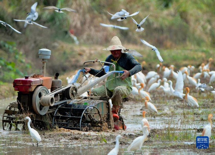 ??????: ???? ?????? ????? ???????