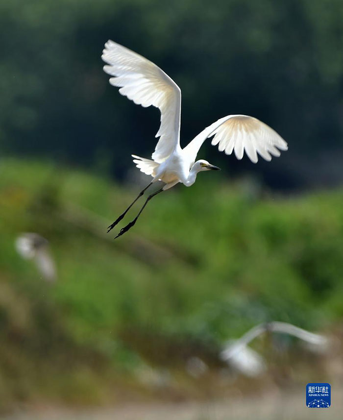 ??????: ???? ?????? ????? ???????