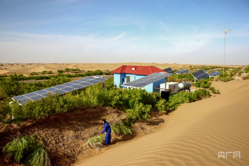 ????????: ????? ????? ??? ???? ?????? ???? ????? ??????? ?? ?????