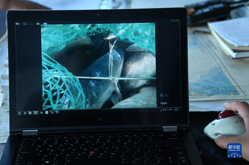 ??? ????? ????? ?????? ??????? ???? ?????? ????? ?? ?????? ???????