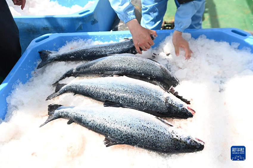 ??? ????? ????? ?????? ??????? ???? ?????? ????? ?? ?????? ???????