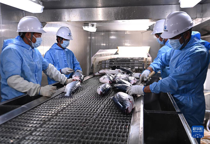 ??? ????? ????? ?????? ??????? ???? ?????? ????? ?? ?????? ???????