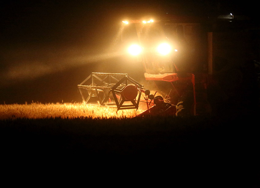 ????? ? ???????: ???????? ?????? 