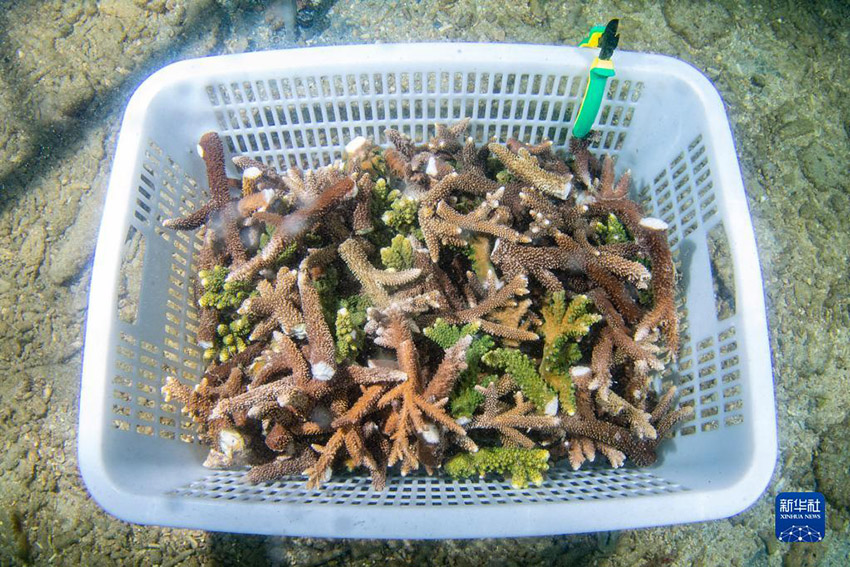 ??????? ????? ??????? ???????? ..