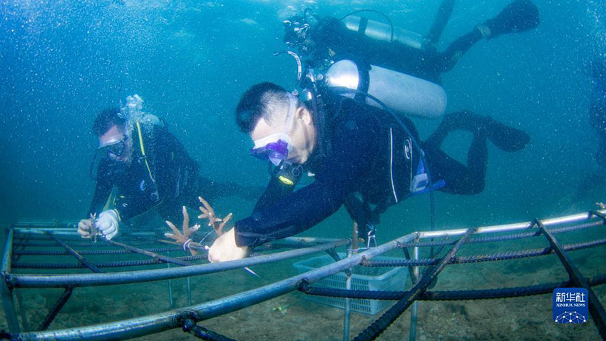 ??????? ????? ??????? ???????? ..