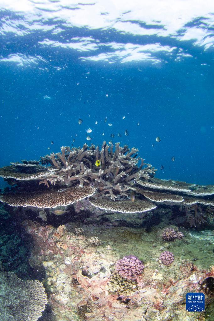 ??????? ????? ??????? ???????? ..