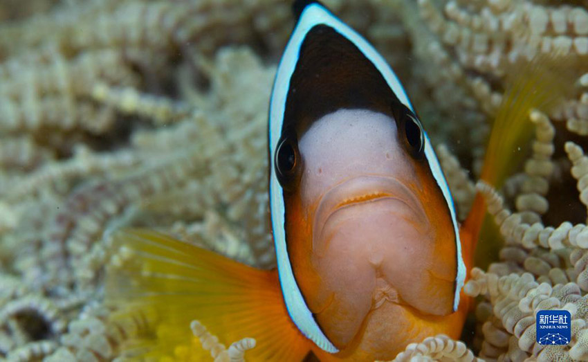 ??????? ????? ??????? ???????? ..