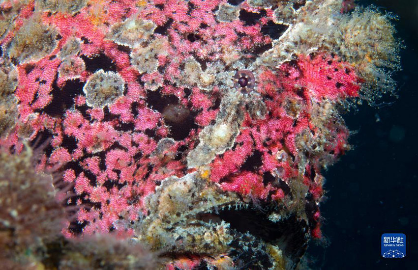 ??????? ????? ??????? ???????? ..