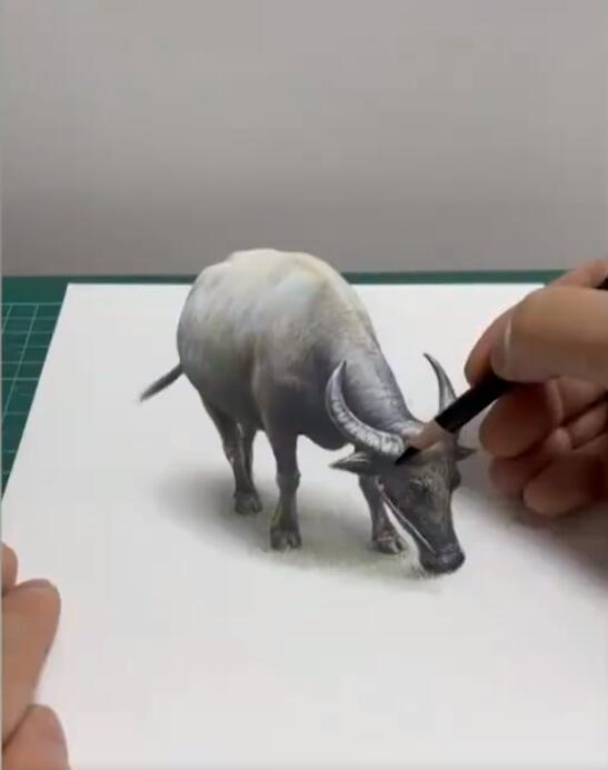 ??? ?? ???? ????? ?????? ??????? ???? ??????? ????? ??????? ????????? ?? ?????