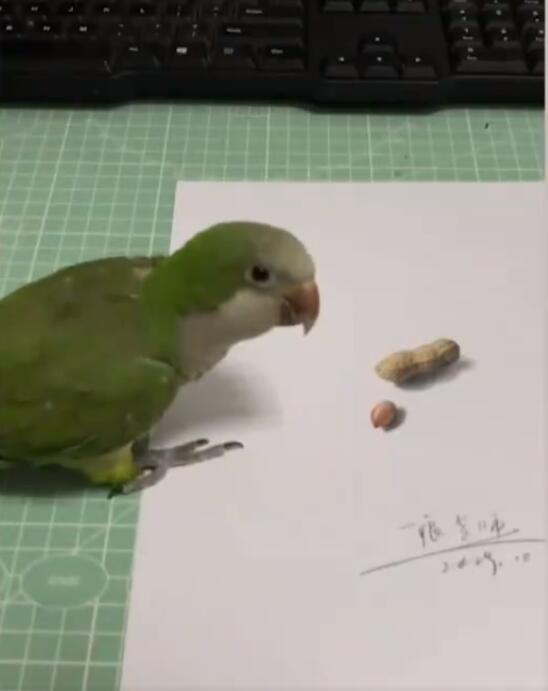 ??? ?? ???? ????? ?????? ??????? ???? ??????? ????? ??????? ????????? ?? ?????