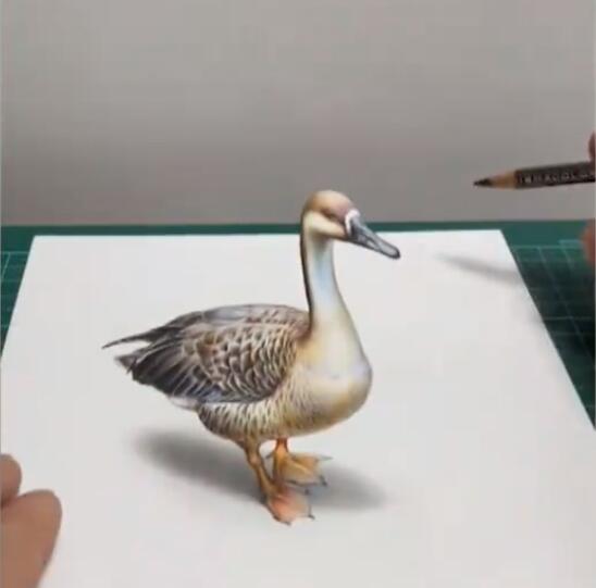 ??? ?? ???? ????? ?????? ??????? ???? ??????? ????? ??????? ????????? ?? ?????