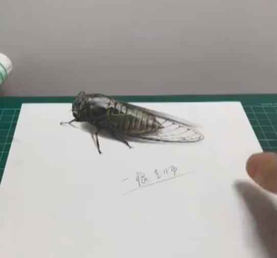 ??? ?? ???? ????? ?????? ??????? ???? ??????? ????? ??????? ????????? ?? ?????