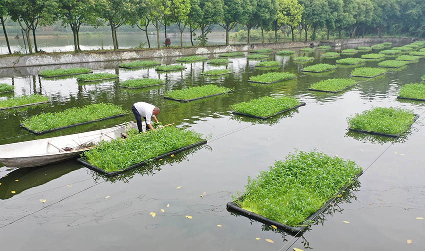 ????? ??????????? ?? ??????????