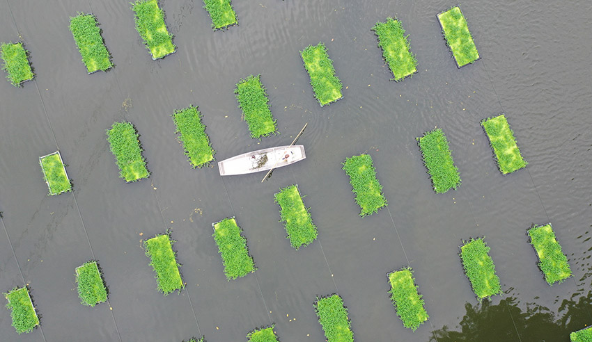 ????? ??????????? ?? ??????????